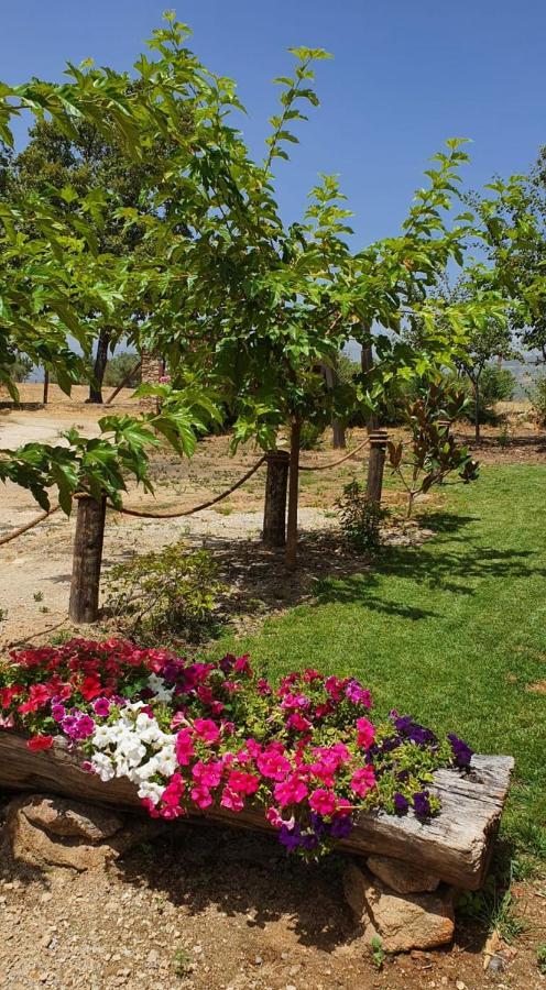 Casa Rural Las Traviesas Candeleda Kültér fotó